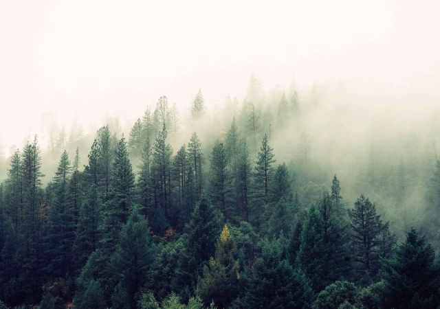 Fog is coming up